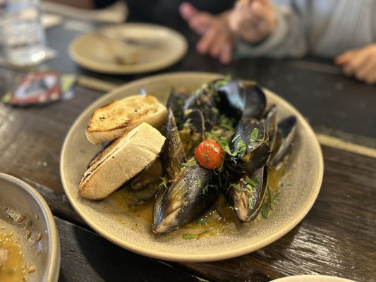 Claypots Evening Star by null