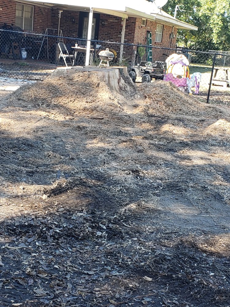 Todds Stump Grinding Service - tree service in Baton Rouge, LA