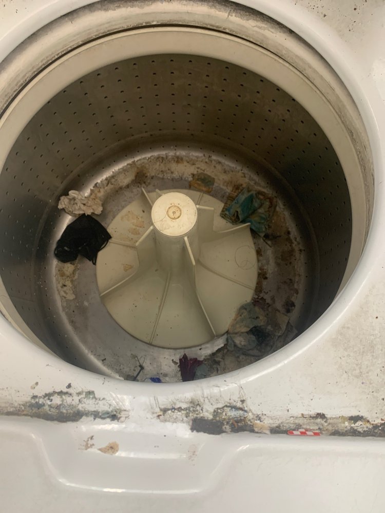 COIN LAUNDRY LAVANDERIA Updated August 2024 8051 W Cerritos Ave