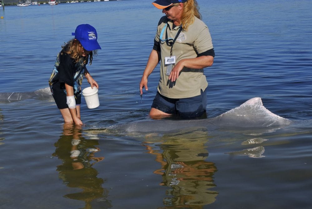 TIN CAN BAY HOUSEBOATS 15 Photos Tin Can Bay Queensland, Australia