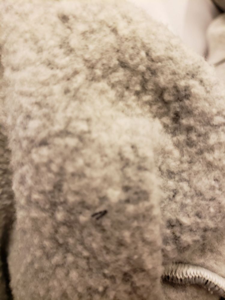 LAFAYETTE VOGUE CLEANERS & ALTERATION Updated August 2024 15