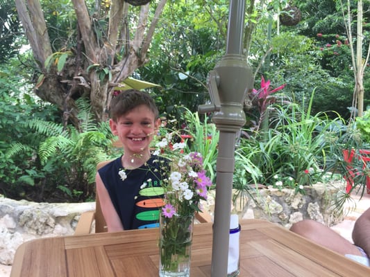 Yerbabuena del sisal by null