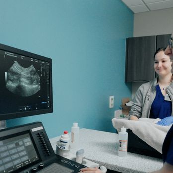 Just Cats Clinic - Veterinarians Near Me - Reston, Virginia Just Cats Clinic - Veterinarians Near Me - Reston, Virginia