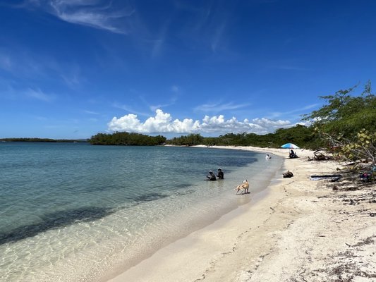 Playa La Jungla by null