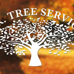C.R Tree Service - untitled