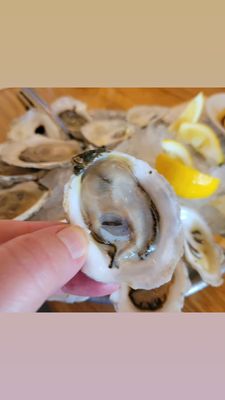 SoPo Seafood by null