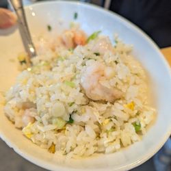dan modern chinese