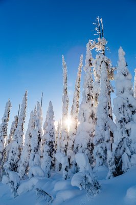 Blacktail Mountain Ski Area by null