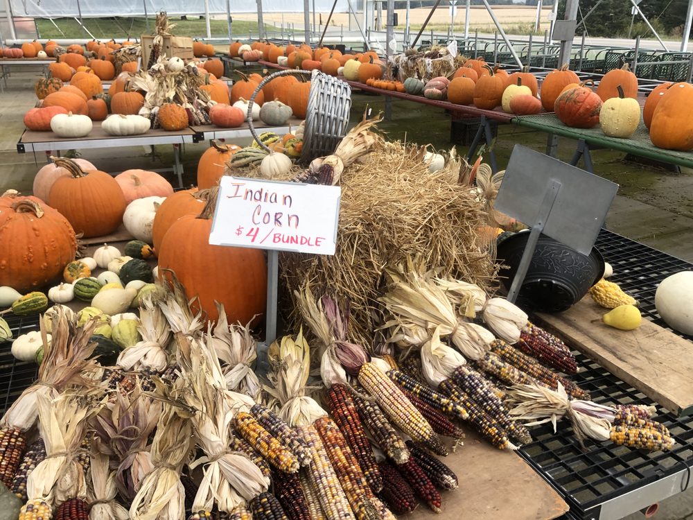 MOTTS OLD MILL BULK FOODS Updated October 2024 11555 Louisville St NE, Louisville, Ohio