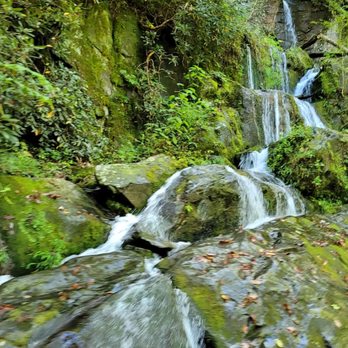 Roaring Fork Motor Nature Trail - Hiking Near Me