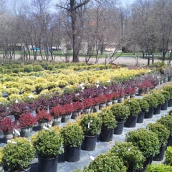 Schoedels - Picture of nursery