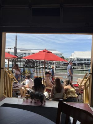 Red's Ice House by null