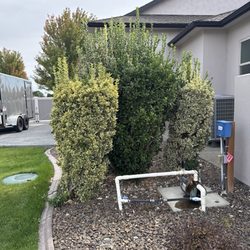 Sprinklers Plus - Valve and sprinkler pipe