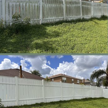 Scorpion Pressure Washing - Pressure Washers Near Me - Tampa, Florida Scorpion Pressure Washing - Pressure Washers Near Me - Tampa, Florida