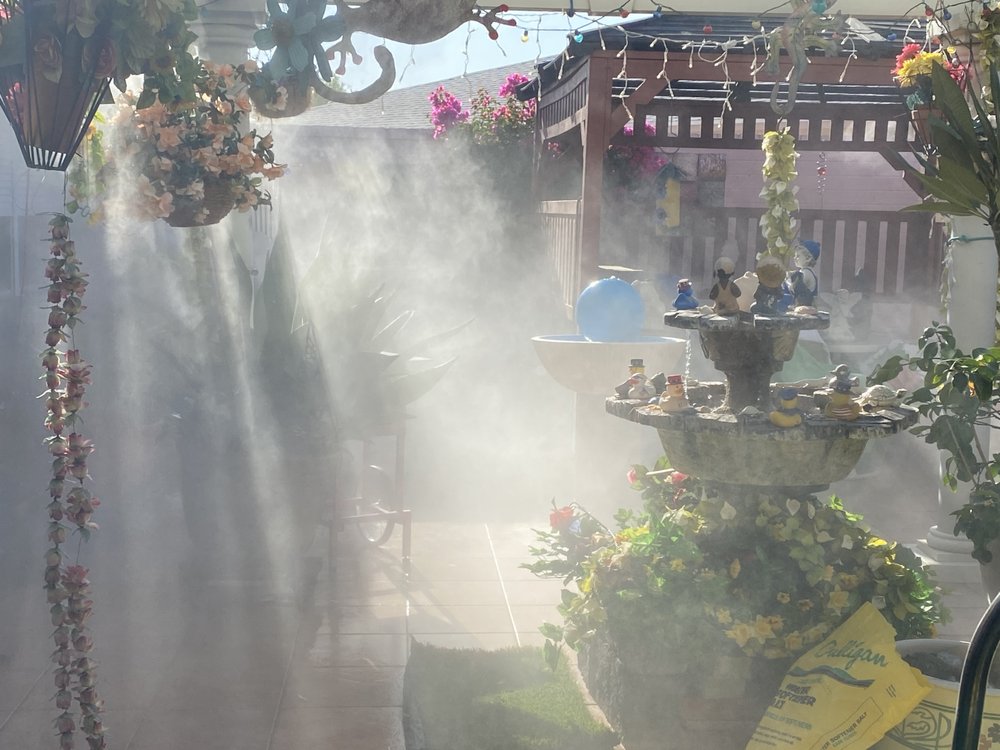 MR MISTER HIGH PRESSURE MIST 25 Photos 16772 W Bell Rd, Surprise