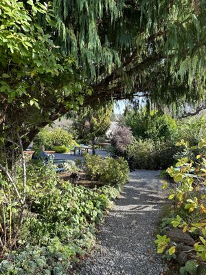 The Waiting Room by null