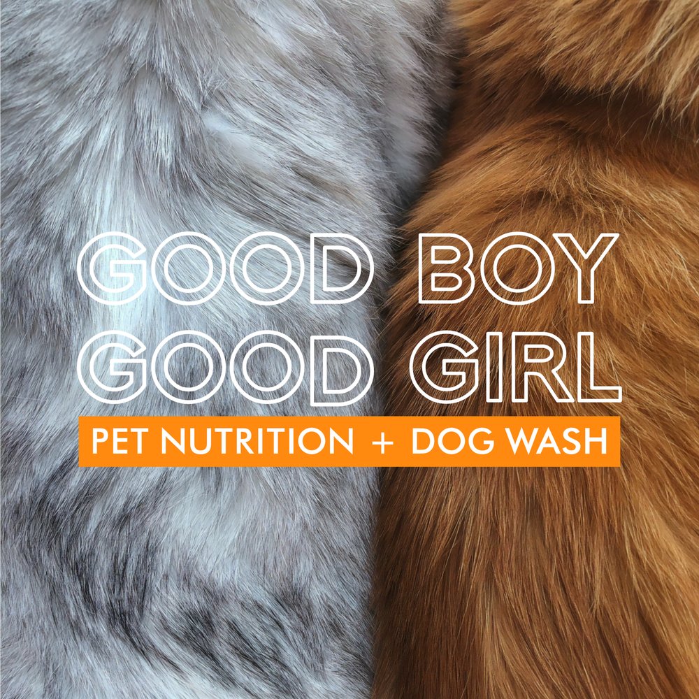 GOOD BOY GOOD GIRL Pet Groomers 520 Rte 9, Manalapan Township, NJ Phone Number Yelp