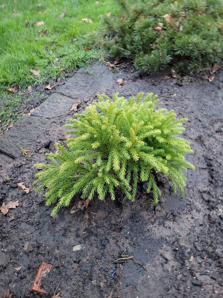 PLEASANTDALE NURSERIES INC. Updated July 2024 16 Reviews 240