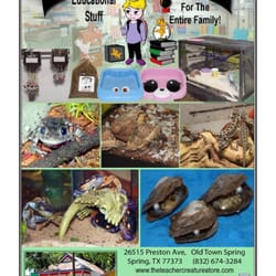 The Teacher Creature Store - Jewelry, oysters with pearls, fossil/gem/arrowhead digs, crystals, office supplies, novelty gifts, live animals and supplies.