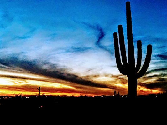 Gateway Trailhead - McDowell Sonoran Preserve by null