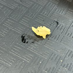 Gong Loco - This is a rice chunk that wasn't friendly for my teeth.