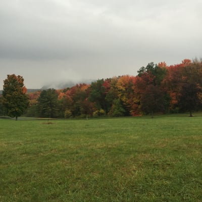 Hampshire College by null