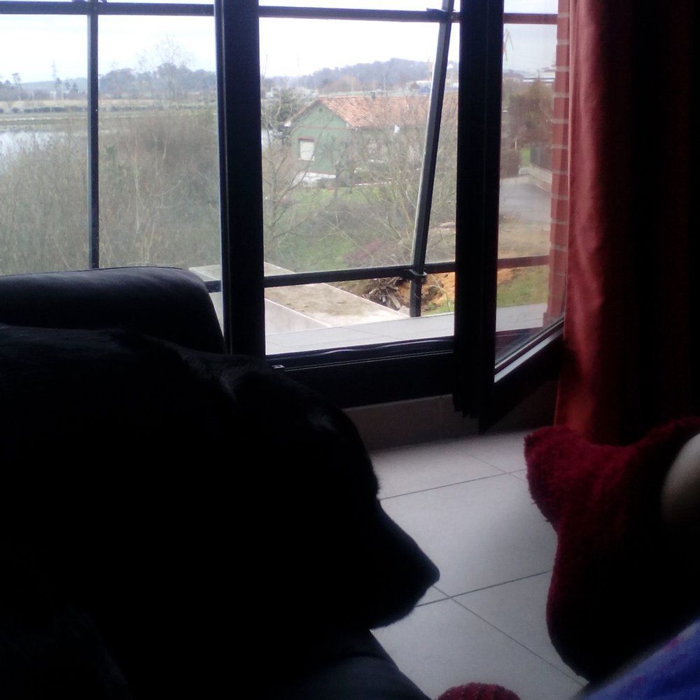 THE BEST 10 HOME SERVICES near AV. DE CANTABRIA 3, 39600 CAMARGO, SPAIN -  Updated 2026 - Hours - Yelp