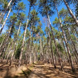 Scuppernong Trail Head