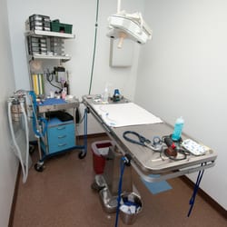 New England Cat Care - Surgery room
