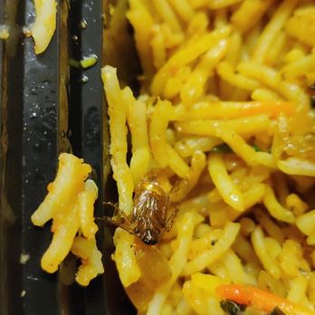 Ruchi Indian Restaurant - Roach in my rice! - Indian Near Me - Bellevue, Washington
