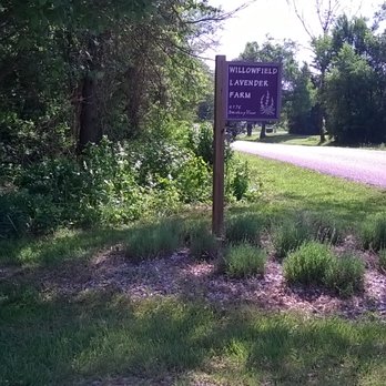 Willowfield Lavender Farm - entrance sign - Farms Near Me - Mooresville, Indiana