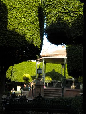 Jardín Allende by null