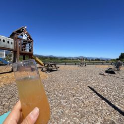 Packer Orchards & Farm Place - Two play structures for kids and jam mimosas available for parents!