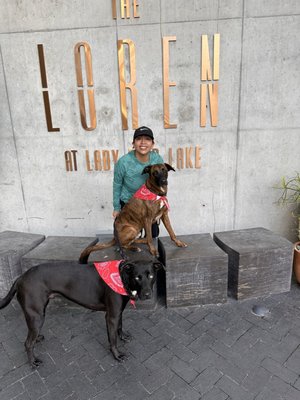 The Loren Hotel Austin by null