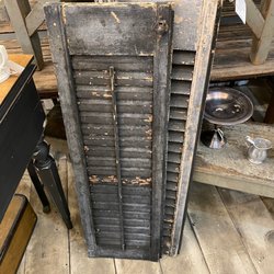 Dainty Dandelion - Shutters
