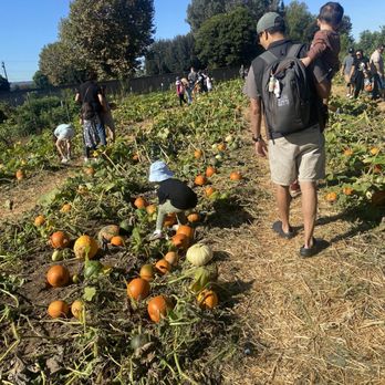 Hurst Ranch Historical Foundation - Pumpkin patch - Venues & Event Spaces Near Me - West Covina, California