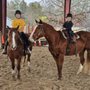 Photo of Honeysuckle Farm And Riding Academy