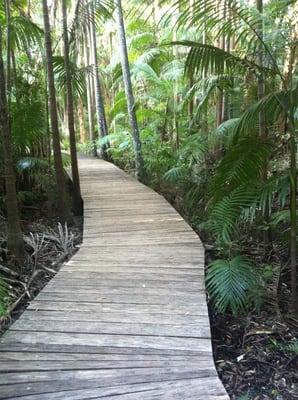 The Restaurant, Byron at Byron, a Crystalbrook Collection Resort by null