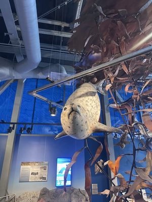 Monterey Bay National Marine Sanctuary Exploration Center by null