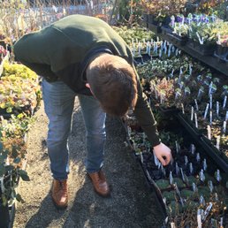 Outdoor plants in March