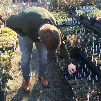 Gardensphere - Outdoor plants in March - Nurseries & Gardening Near Me - Tacoma, Washington