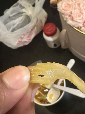 Himalayan Kitchen by null