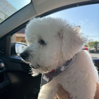 Brush N Pupps Grooming - Pet Groomers Near Me - Moreno Valley, California