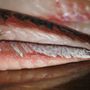 Photo of The Joint Seafood