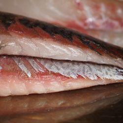 The Joint Seafood - Horse Mackerel