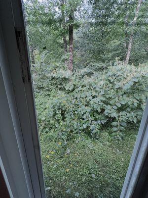 Roscoe Motel by null