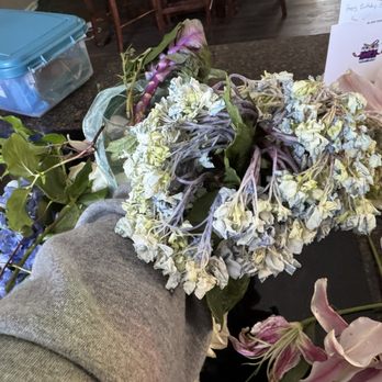 Blossom and Basket Boutique - Purchased Tuesday, died Wednesday, this is less than 48 hours. Want a refund. - Florists Near Me - Mount Airy, Maryland Blossom and Basket Boutique - Purchased Tuesday, died Wednesday, this is less than 48 hours. Want a refund. - Florists Near Me - Mount Airy, Maryland