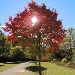 Etienne Brule Park