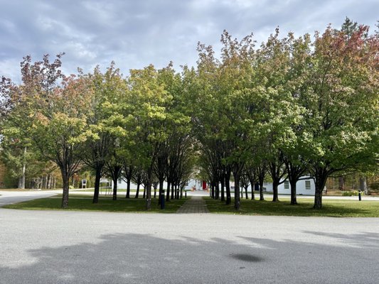 Southern Vermont Arts Center by null