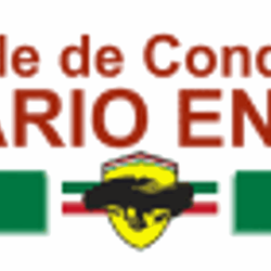 Ecole de Conduite Mario Enzo - Logo